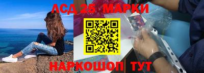 крисы Новозыбков