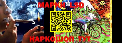 крисы Новозыбков