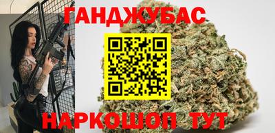 крисы Новозыбков