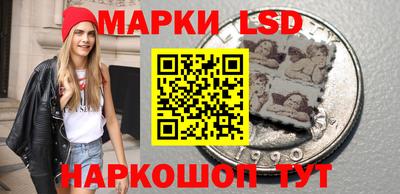 крисы Новозыбков