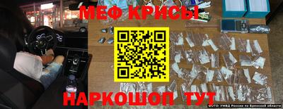 крисы Новозыбков