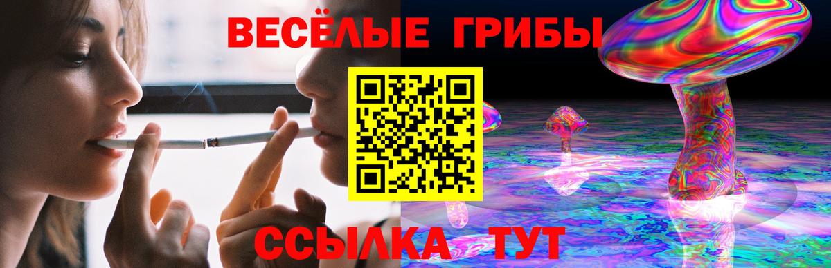 Пушкино  Псилоцибиновые грибы Psilocybine cubensis  Вход с VPN 